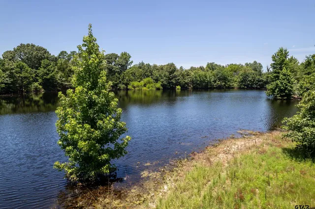 $850,000 | 100 Inwood Street, Mineola, TX 75773