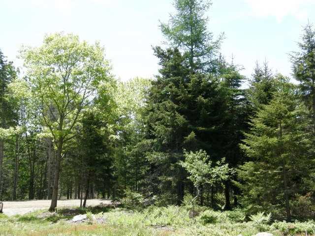 5 Old Woods Road Tenants Harbor, ME 04860 - Photo 1 of 8 Land.
