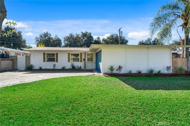 a view of a backyard with plants and a garden