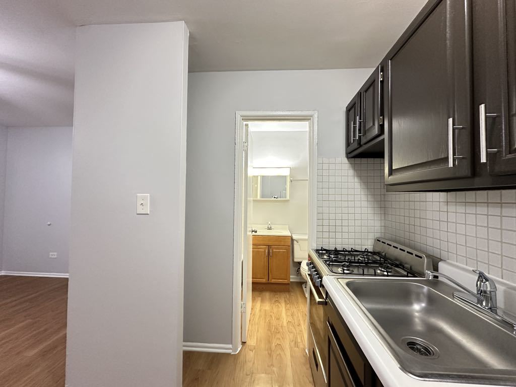 4537 North Dover Street, Unit 1C Chicago, IL 60640 - Photo 6 of 21