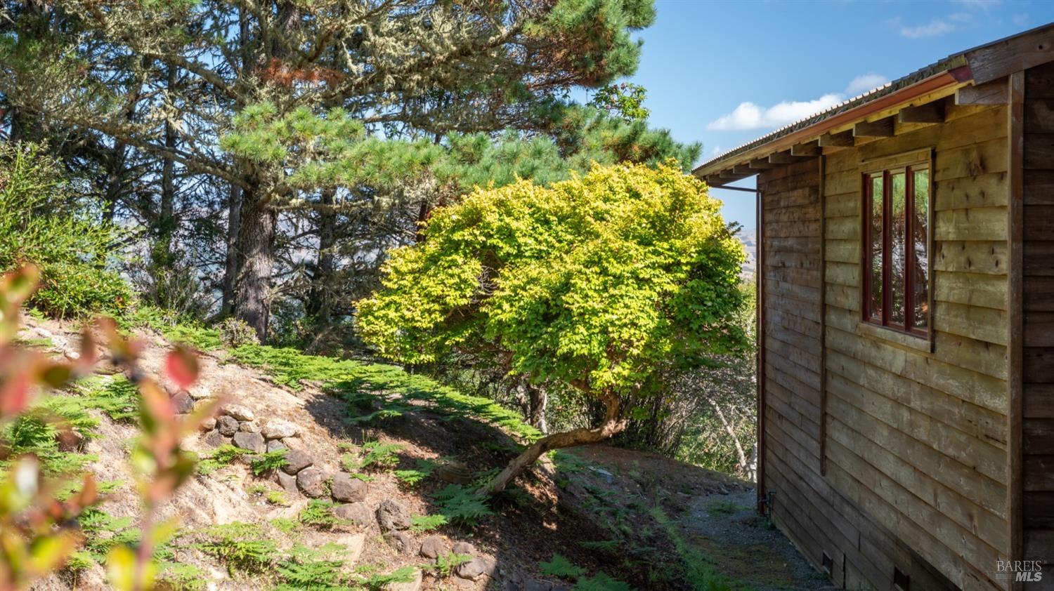 90 Dover Road Inverness, CA 94937 - Photo 37 of 54 Gallery Image 37