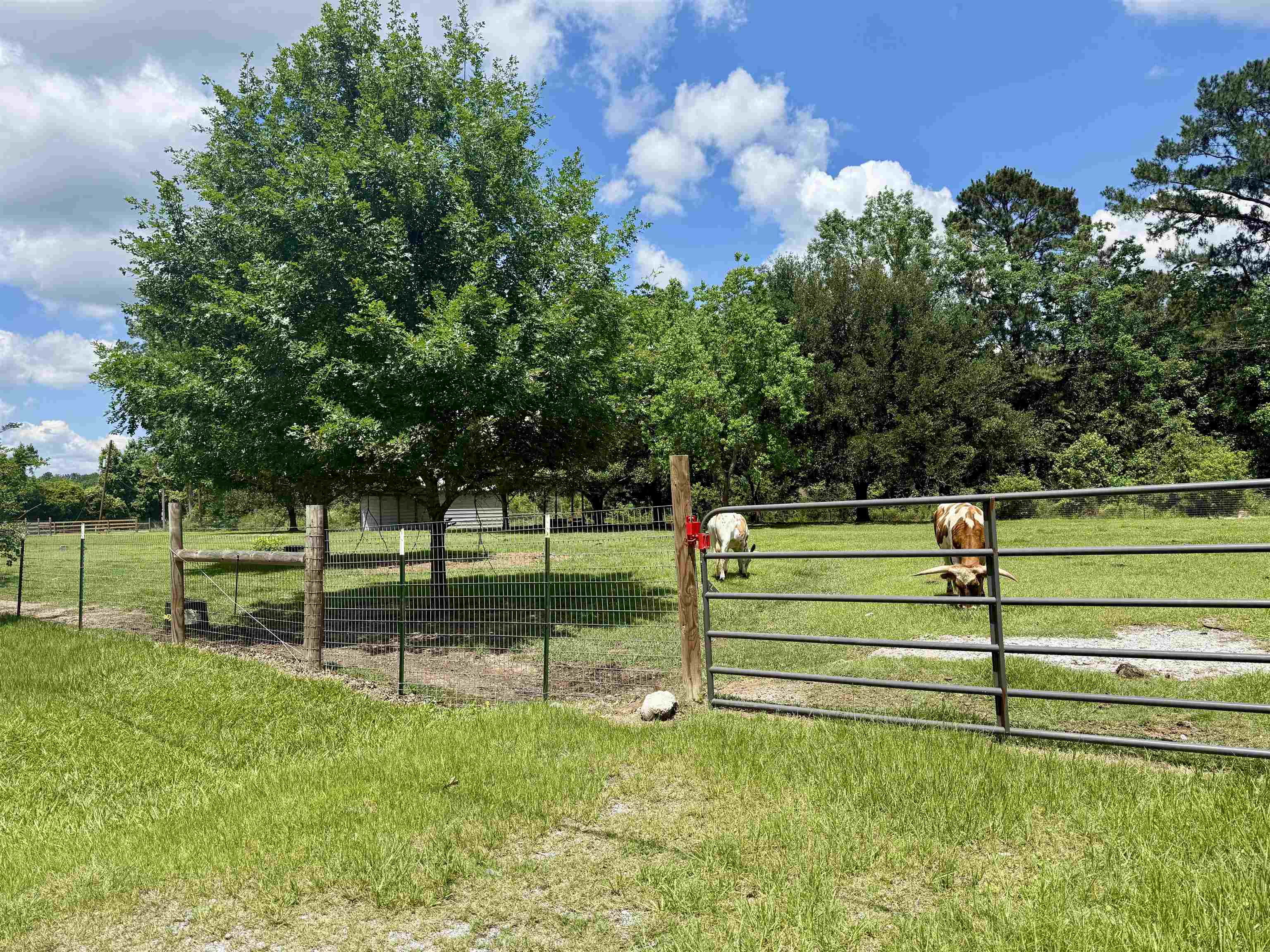 4799 Winfree Road Orange, TX 77630 - Photo 40 of 48
