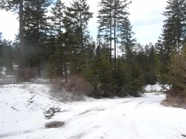 34906 North Conklin Road Elk, WA 99009 - Photo 9 of 9