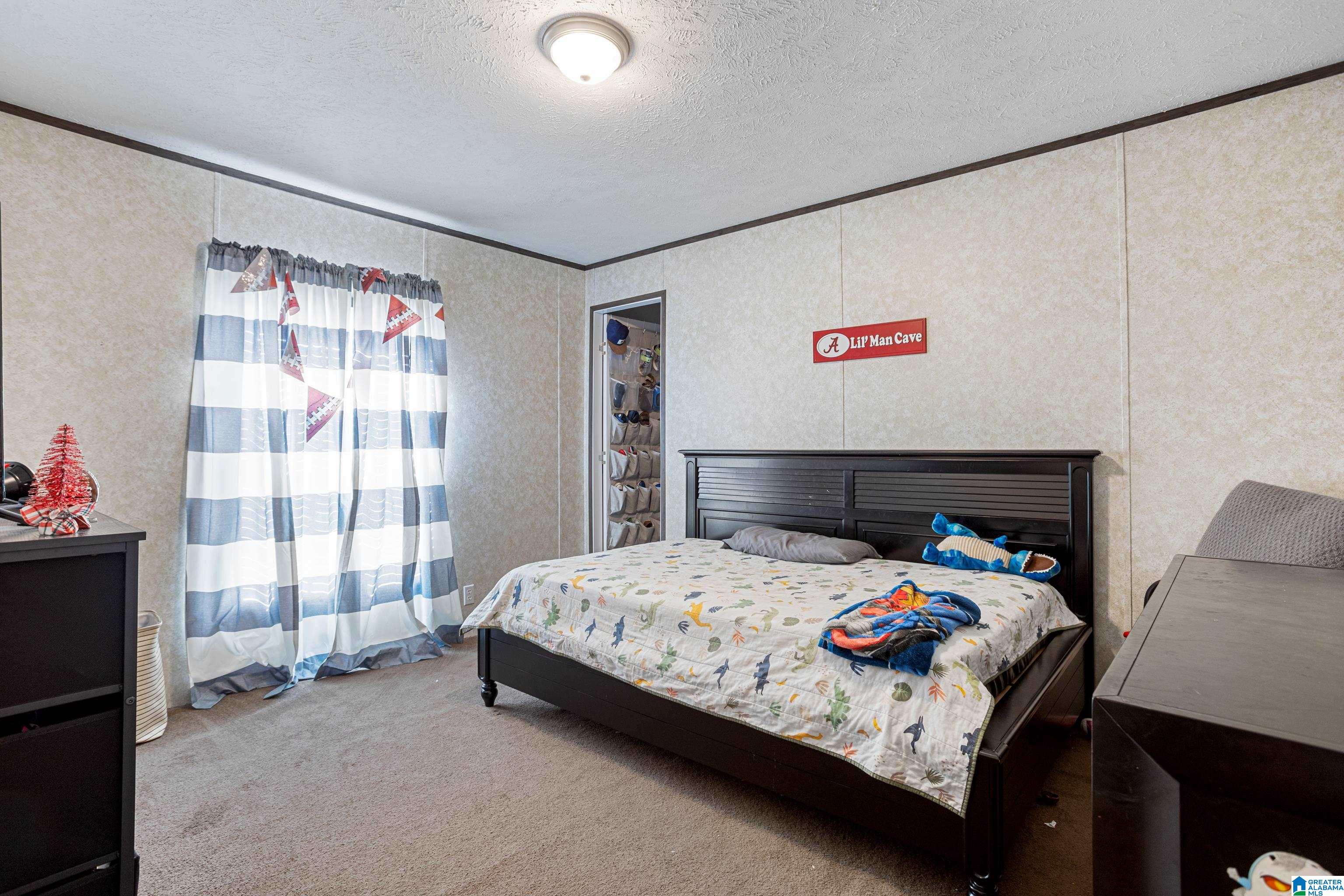 4135 Warrior Jasper Road Dora, AL 35062 - Photo 25 of 47