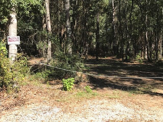 141 Kimble Road Cottonwood, AL 36320 - Photo 1 of 1