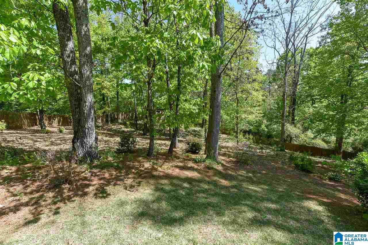 1401 Scout Ridge Drive Hoover, AL 35244 - Photo 3 of 50