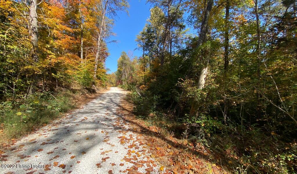 L59 Ted Logsdon Road Clarkson, KY 42726 - Photo 8 of 14 River View Fall13