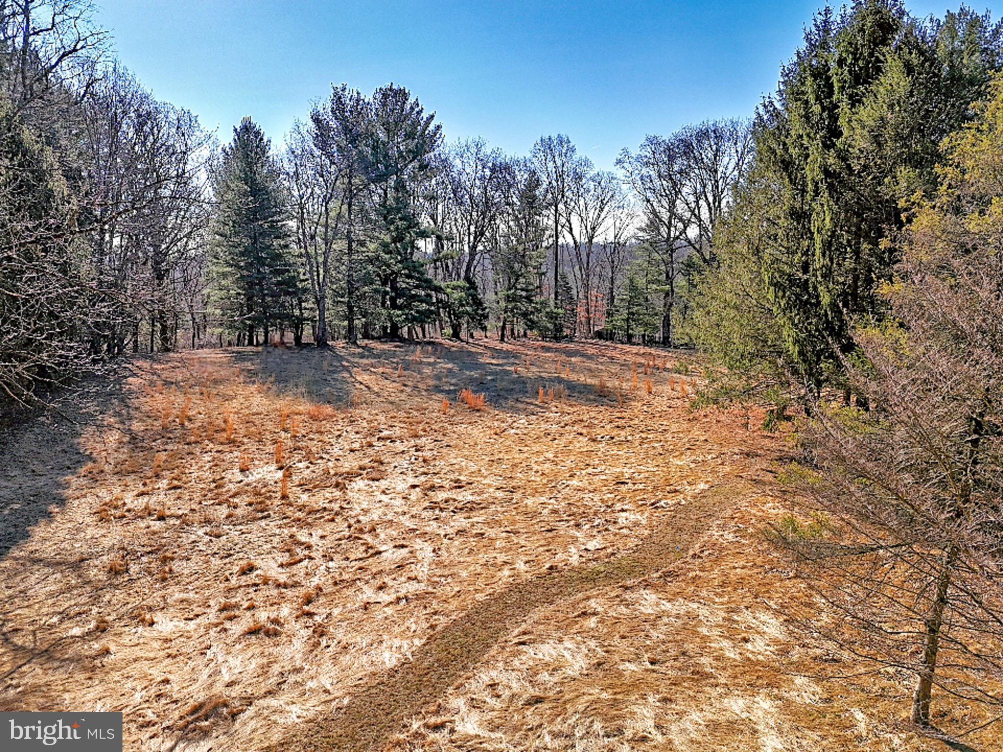 657 North Heilbron Drive Media, PA 19063 - Photo 4 of 10 a view of a yard with trees