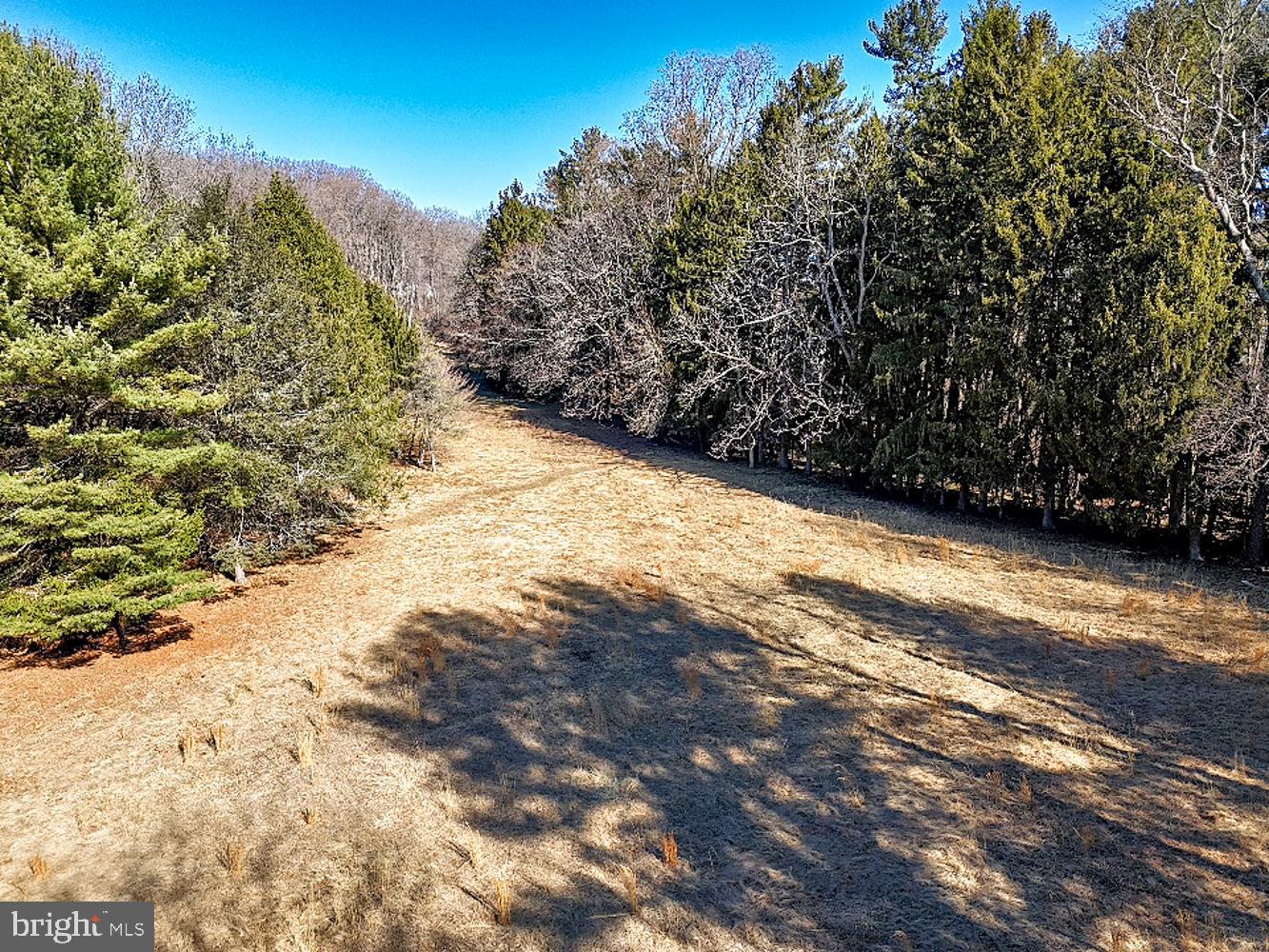 657 North Heilbron Drive Media, PA 19063 - Photo 7 of 10 a view of a yard with trees