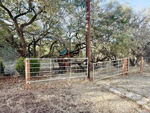a view of a yard