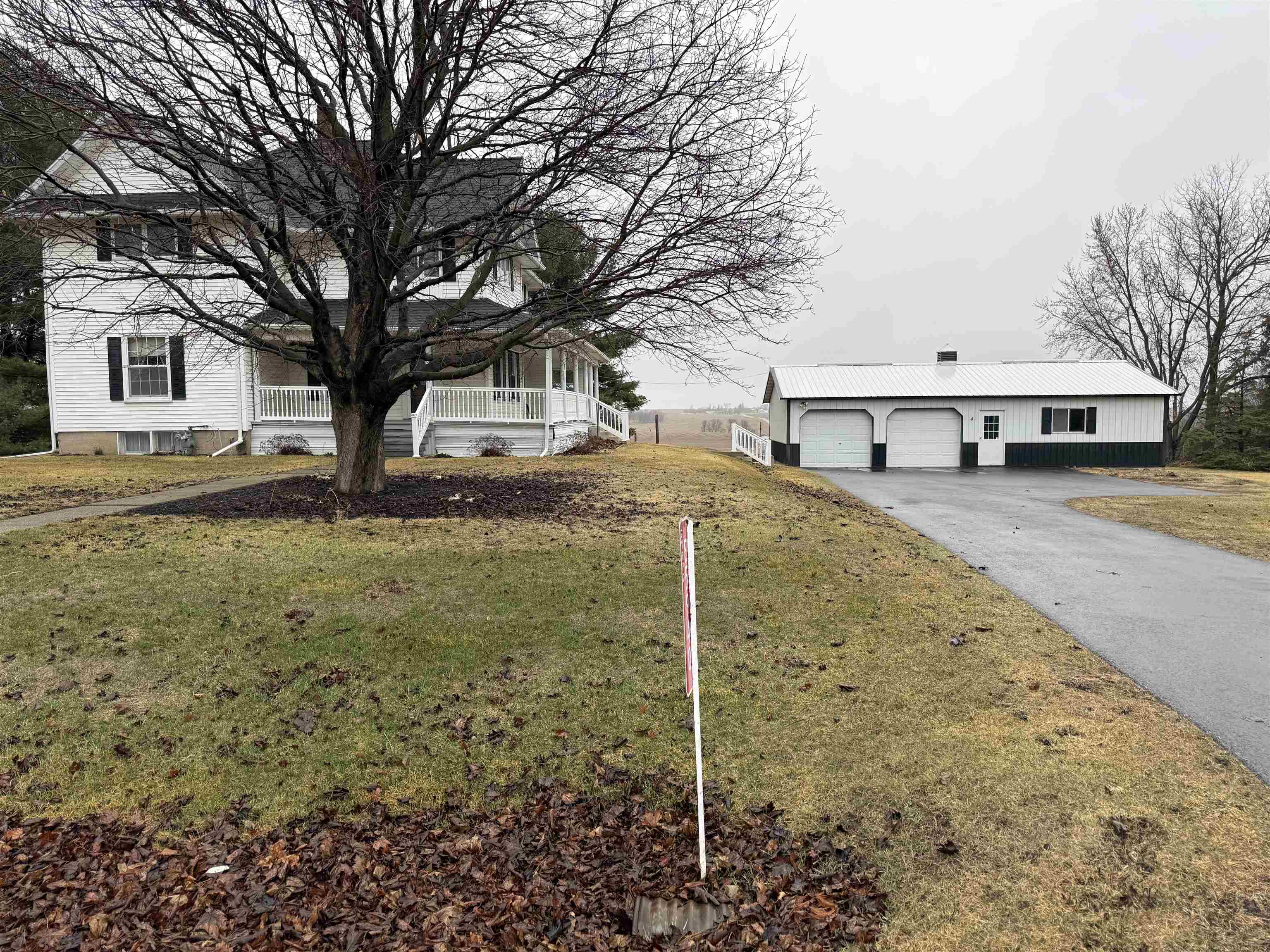 a view of a yard with a large tree
