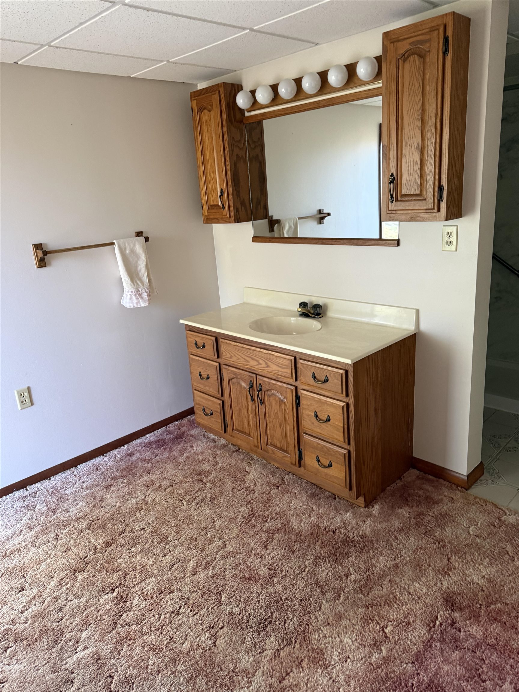 5940 East German Valley Road German Valley, IL 61039 - Photo 17 of 29 a utility room with cabinets