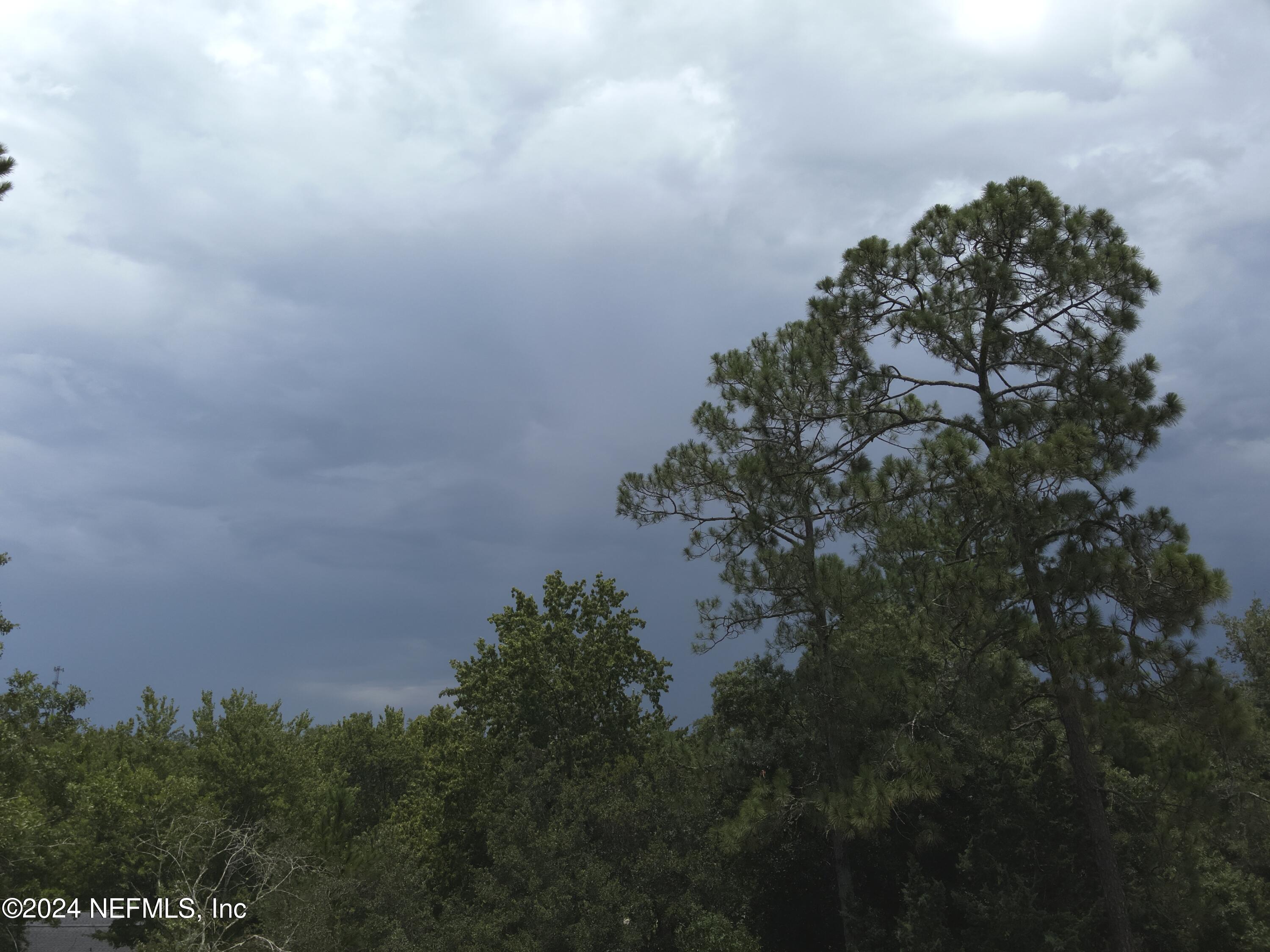 3033 Russell Road Green Cove Springs, FL 32043 - Photo 54 of 64 Aerial Shot(54)