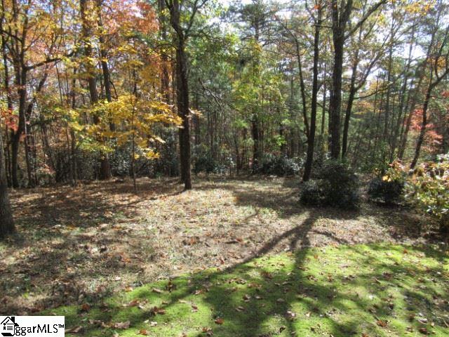 211 Raven Cliff Road Cleveland, SC 29635 - Photo 10 of 35