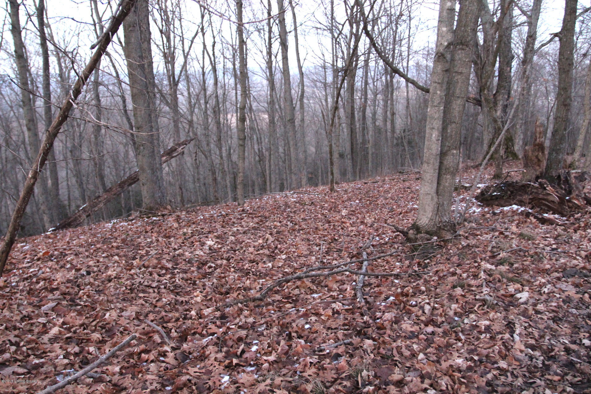 0 Penny Winkle Road Lockport, KY 40036 - Photo 9 of 21 Pennywinkle_9