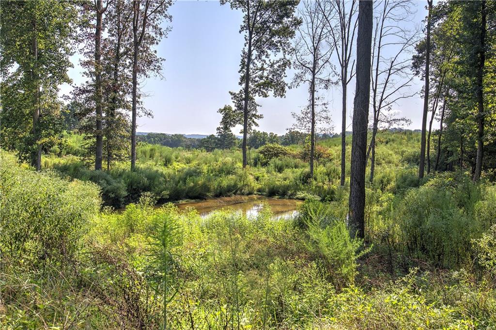 0 Pearl Johnson Road Ranger, GA 30734 - Photo 9 of 36 Gallery Image 9
