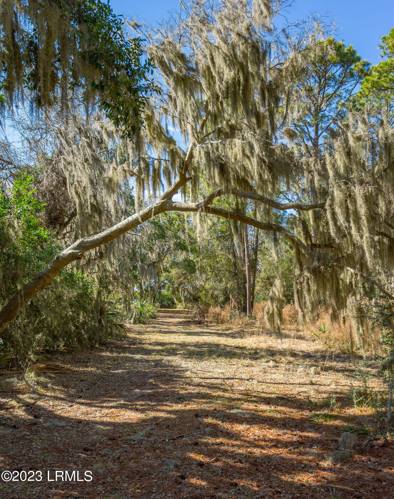 20 Claires Point Road Beaufort, SC 29907 - Photo 13 of 22 DSC08877-1