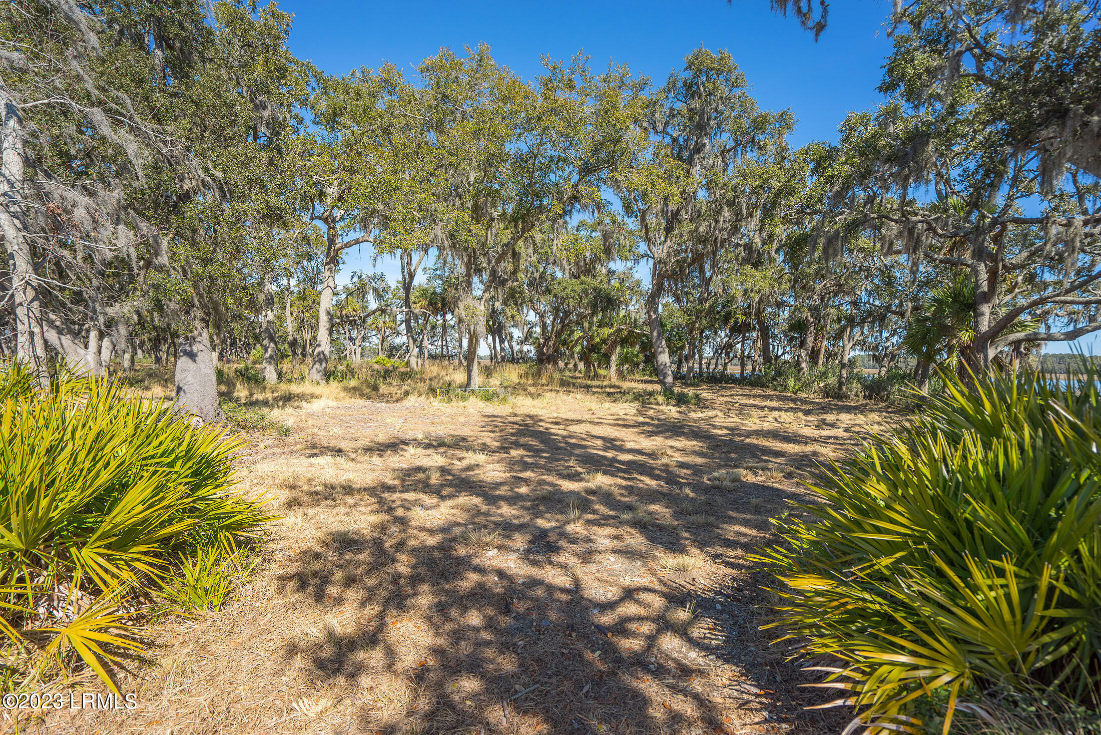 20 Claires Point Road Beaufort, SC 29907 - Photo 9 of 22 DSC08866-1