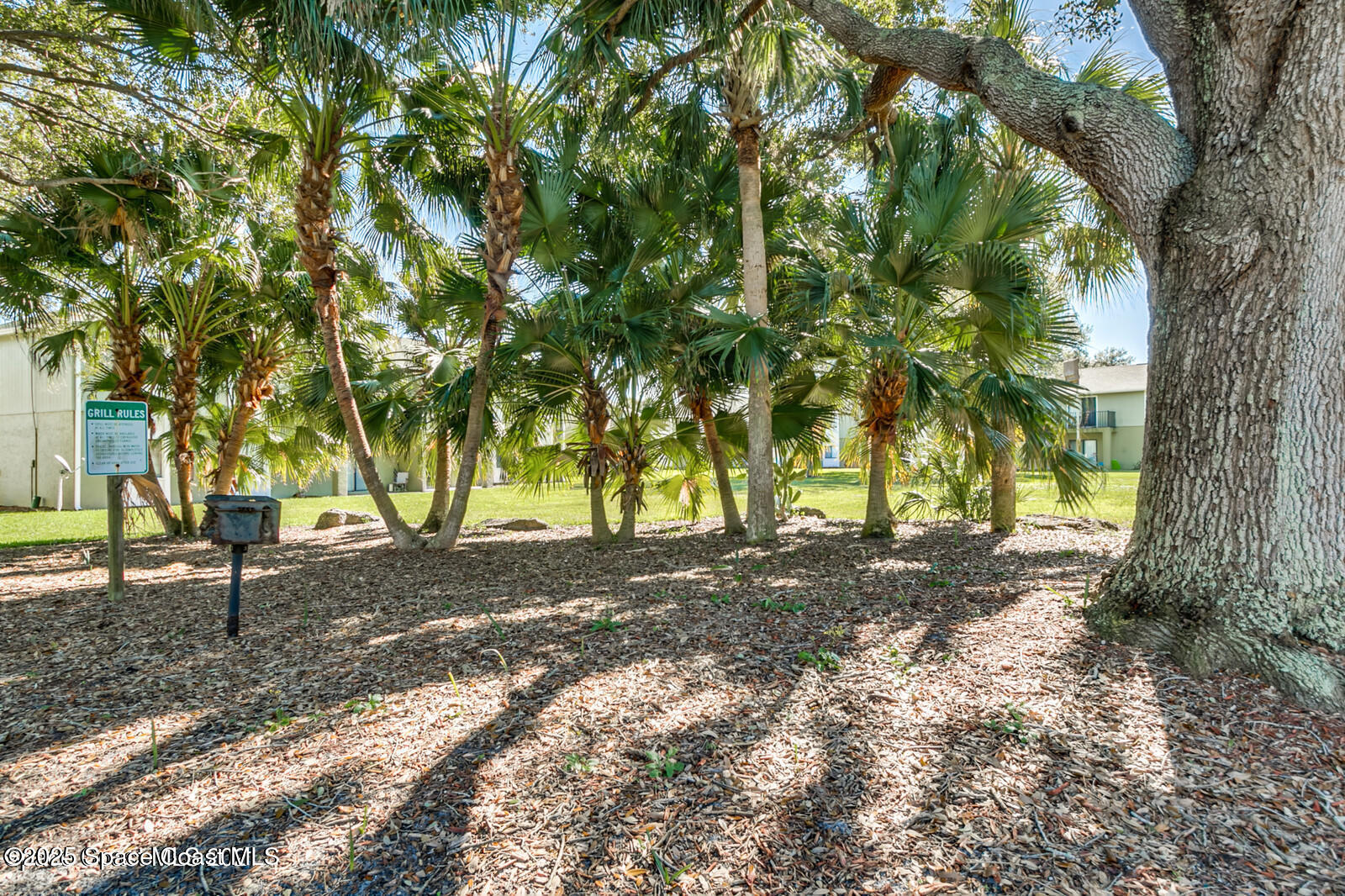 2220 Flower Tree Circle Melbourne, FL 32935 - Photo 21 of 22 a view of a yard with plants and trees