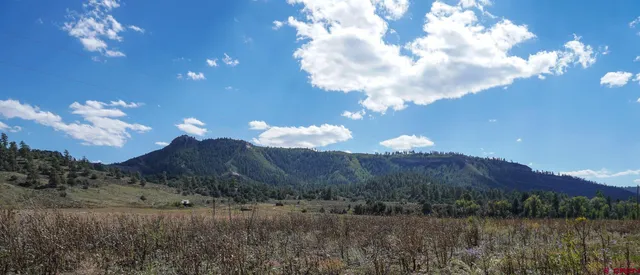 a view of a lake in middle of green field and covered with green space