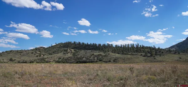 a view of a big yard