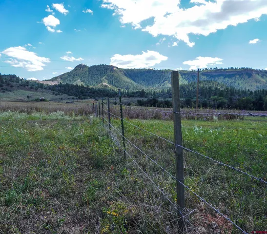 a view of a back yard