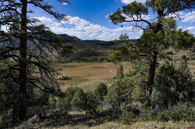a view of a yard with wooden fence
