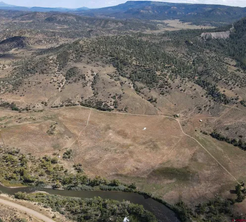 a view of a dry field