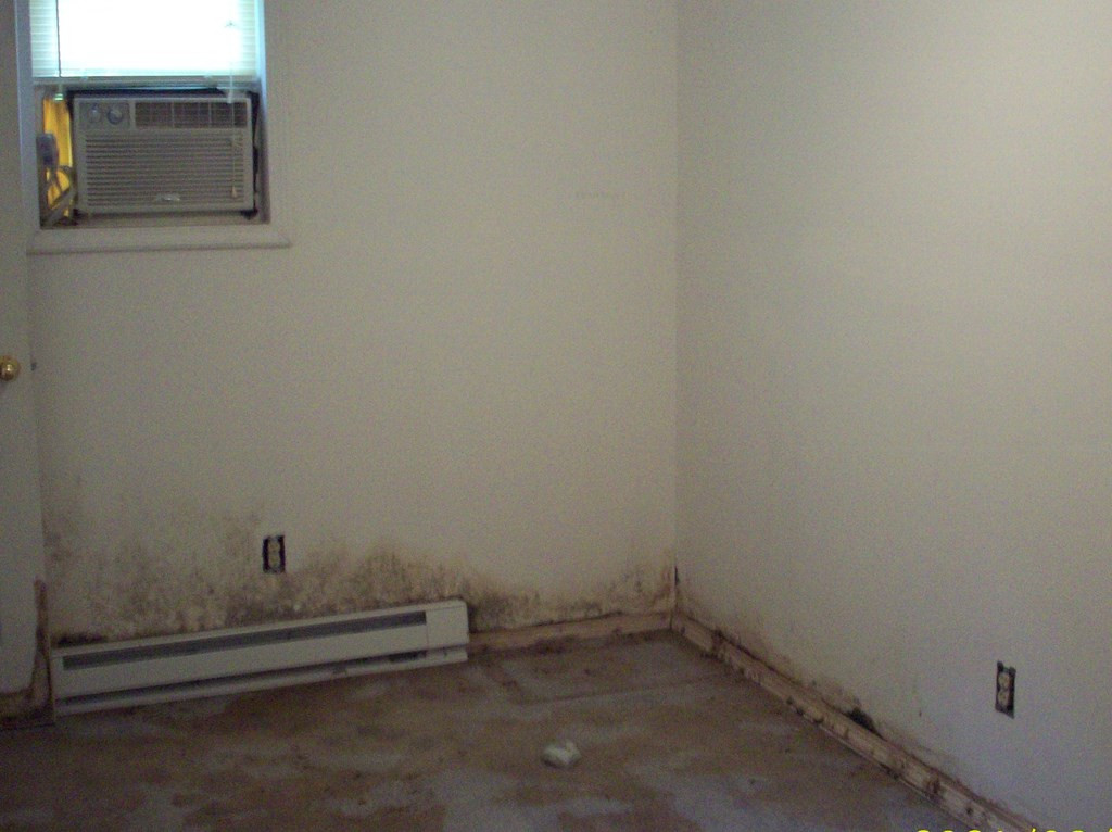 3905 Ardis Pond Road Dalzell, SC 29040 - Photo 17 of 34 Gallery Image 17