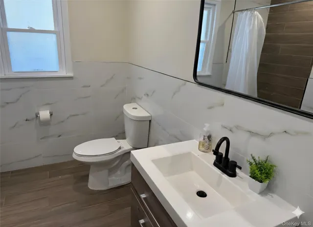a bathroom with a sink and a toilet