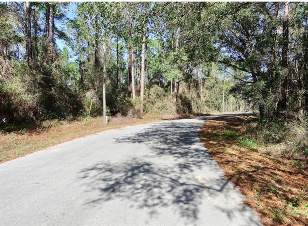 Locust Drive Ocala, FL 34472 - Photo 1 of 1