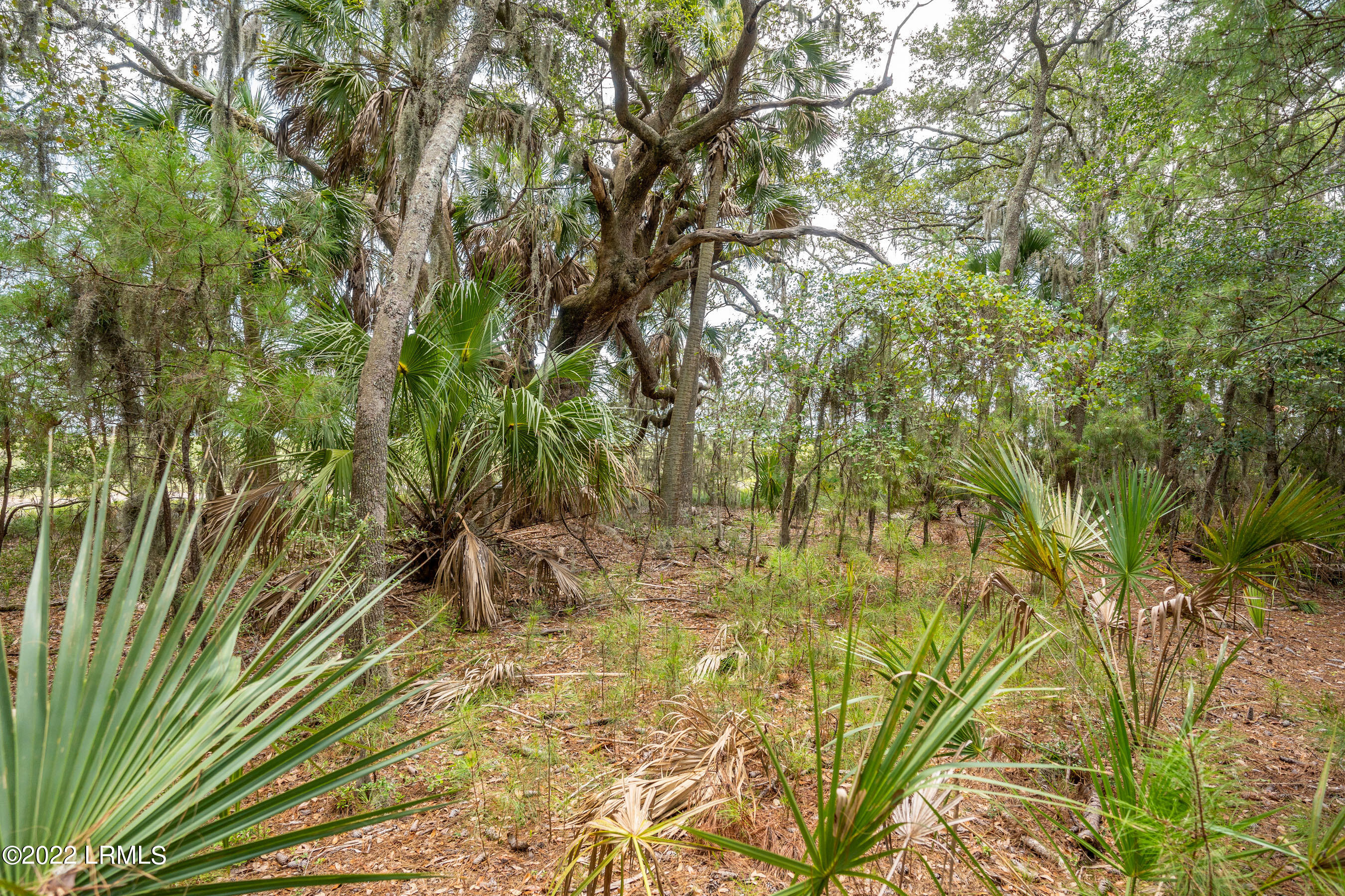 41 Little Capers Road Beaufort, SC 29907 - Photo 26 of 32 DSC06047-1.jpg-FULL