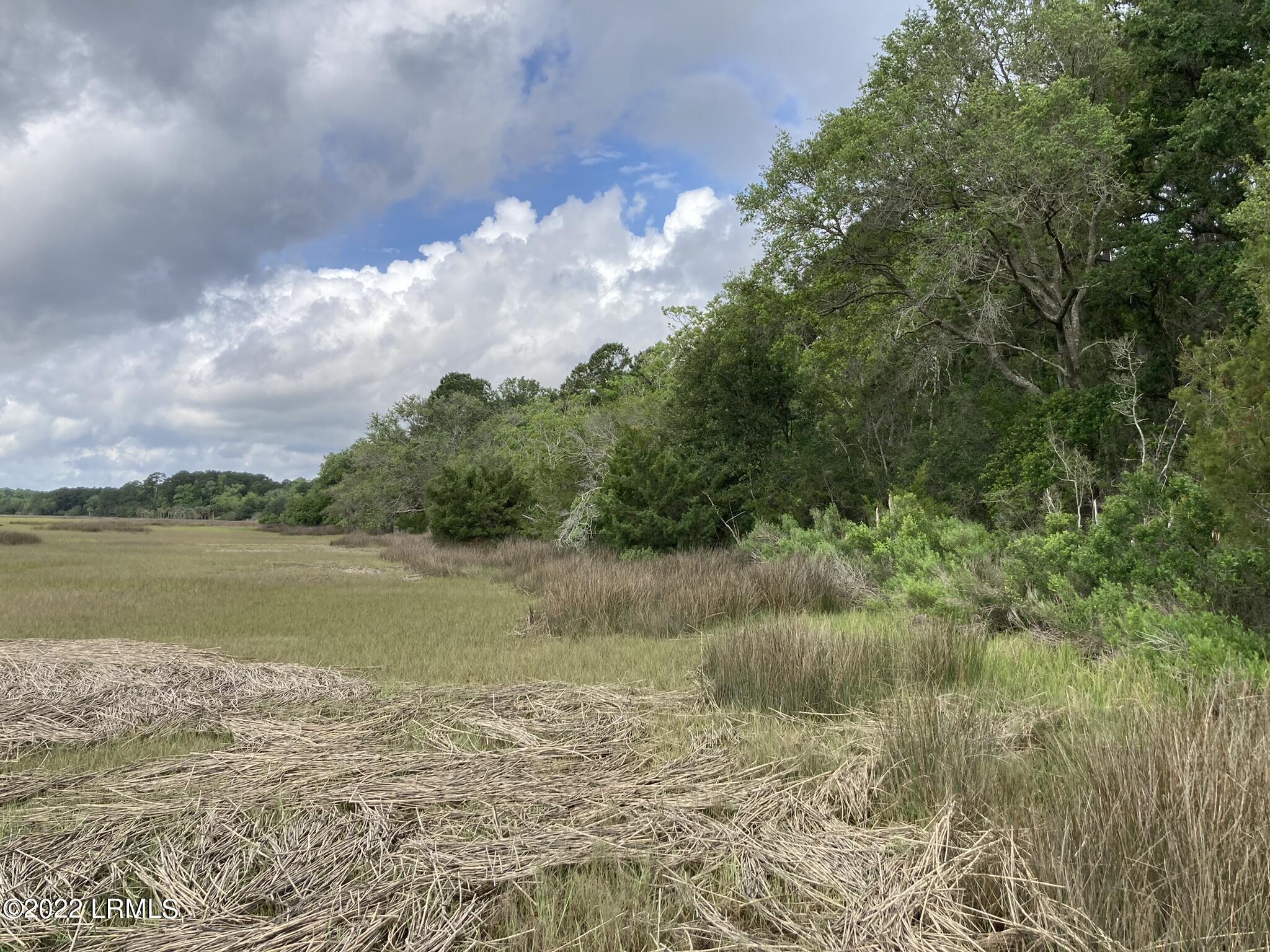 41 Little Capers Road Beaufort, SC 29907 - Photo 10 of 32 IMG_3775
