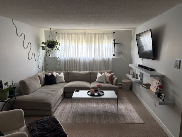 189 River Street, Unit 6 Waltham, MA 02453 - Photo 5 of 9 a living room with furniture and a flat screen tv