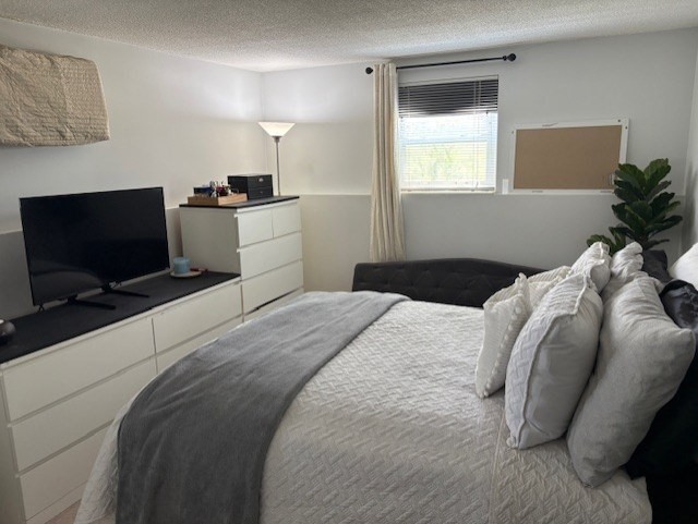 189 River Street, Unit 6 Waltham, MA 02453 - Photo 6 of 9 a bedroom with a bed and a flat screen tv