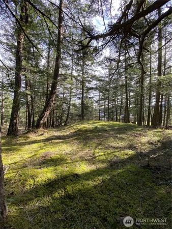 a view of outdoor space with trees
