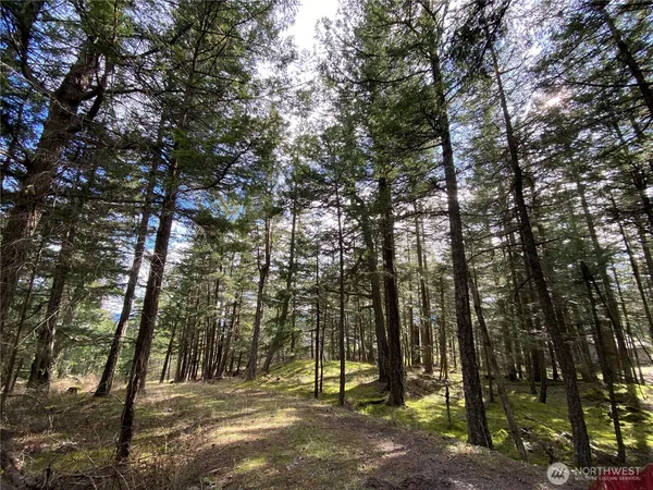 $395,000 | 9 Tomihi Drive, Orcas Island, WA 98245