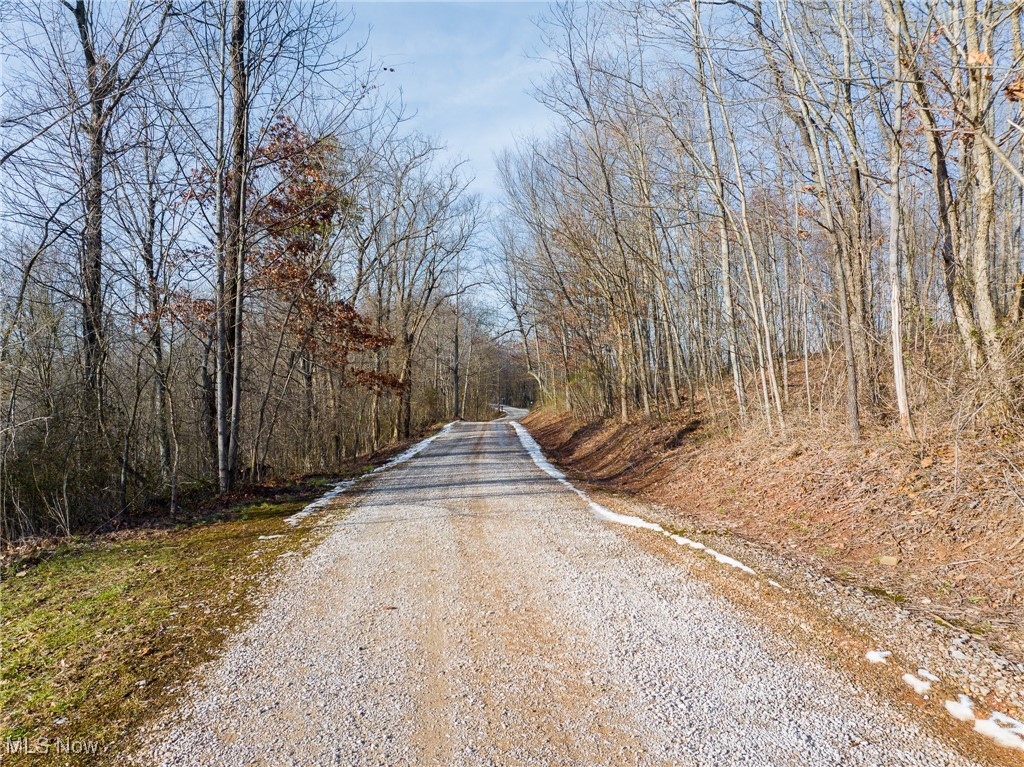 9 County Road New Matamoras, OH 45767 - Photo 33 of 48 View of dirt / gravel road with a forest view