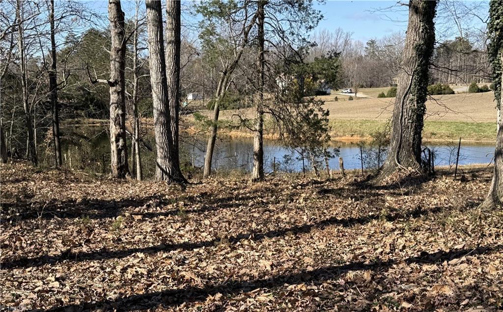 8413 Fairgrove Church Road Browns Summit, NC 27214 - Photo 4 of 4 BACK YARD VIEW