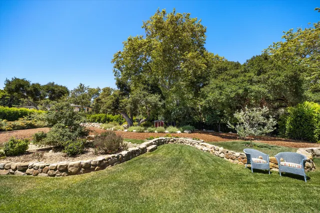 a view of a backyard with plants and trees