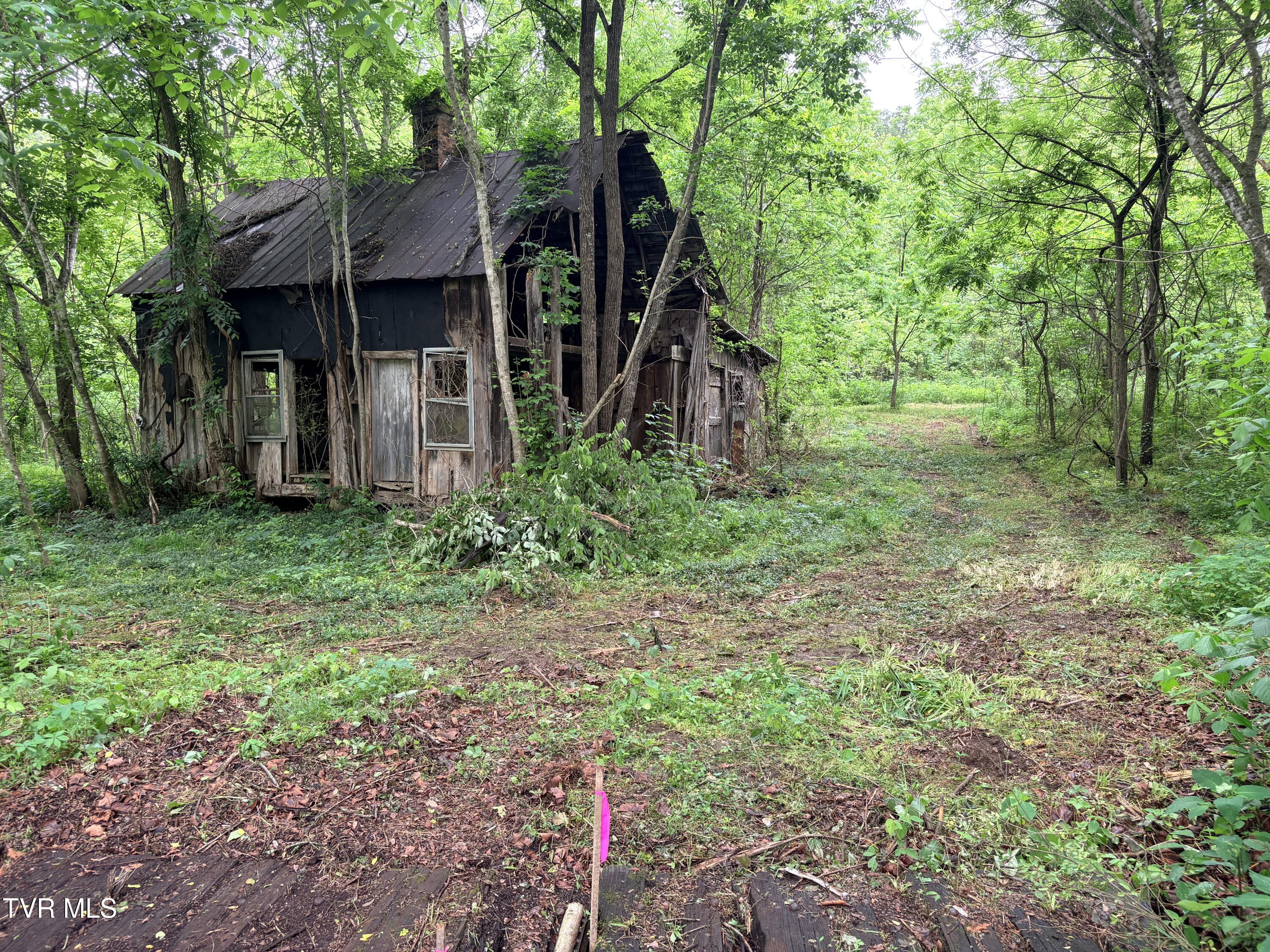 0 Shackleford Road Mosheim, TN 37818 - Photo 3 of 21 IMG_9903