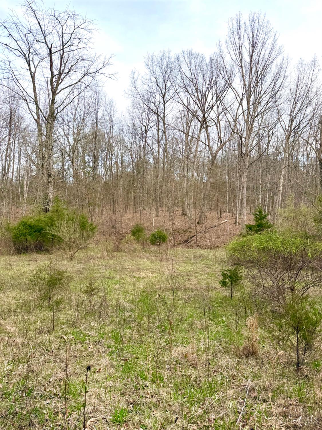 1600 Magee Jones Road Peebles, OH 45660 - Photo 72 of 91