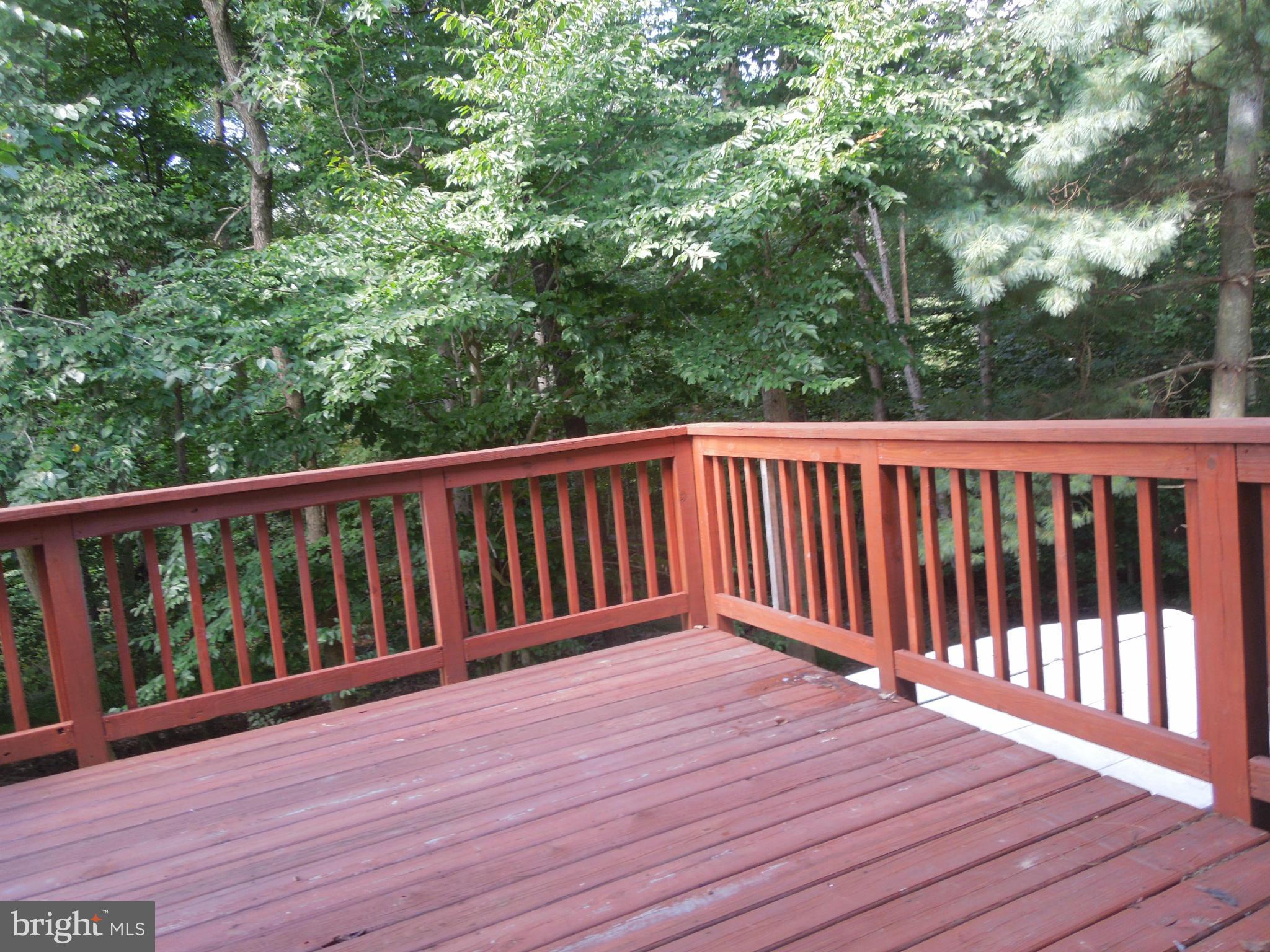 14853 Basingstoke Loop Centreville, VA 20120 - Photo 14 of 30 a view of wooden deck