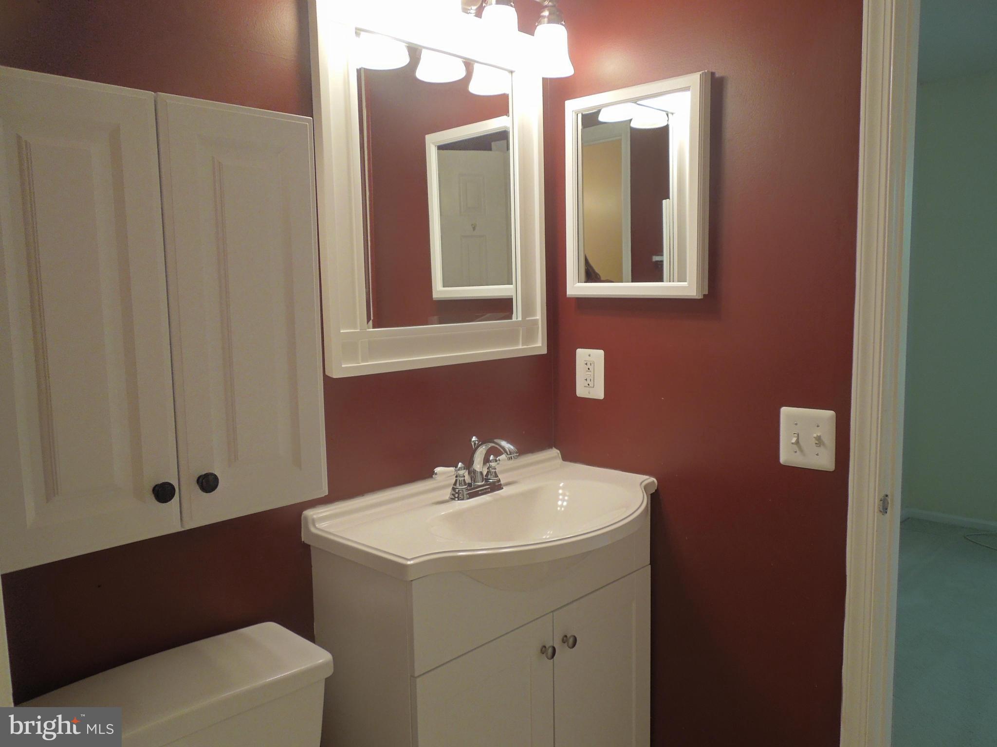 14853 Basingstoke Loop Centreville, VA 20120 - Photo 17 of 30 a bathroom with a sink and a mirror