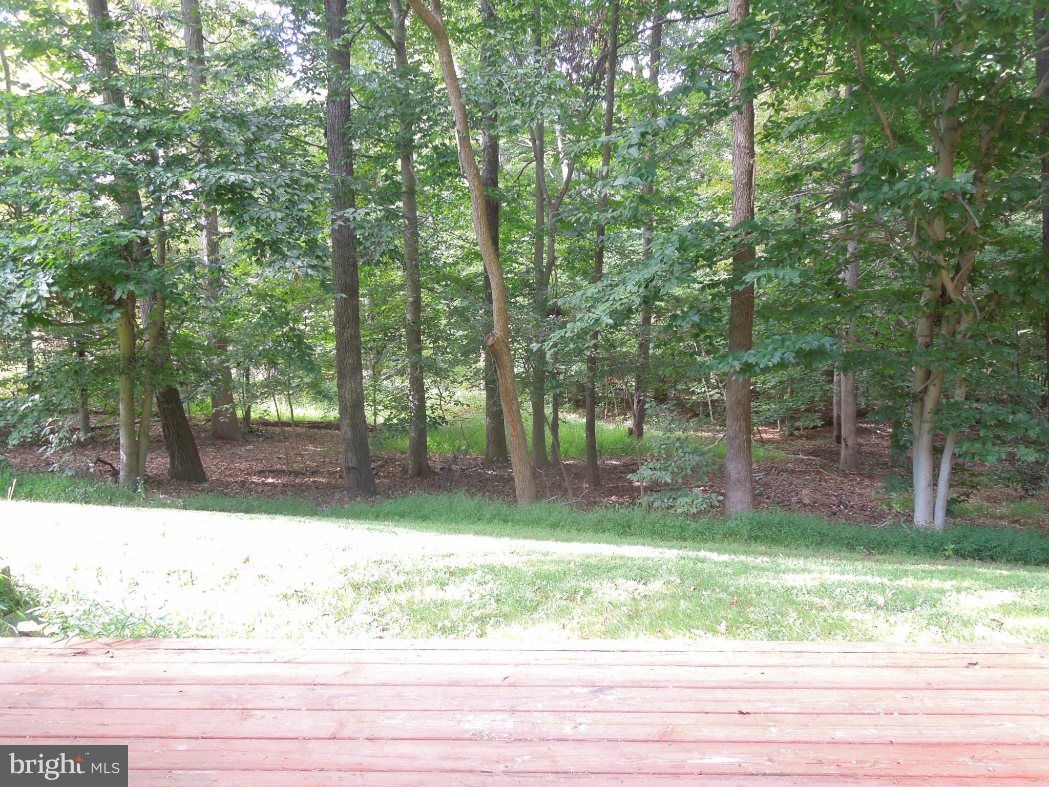 14853 Basingstoke Loop Centreville, VA 20120 - Photo 28 of 30 a view of a yard and a house