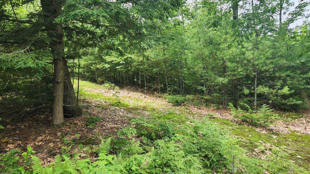 175 Valley Road New Durham, NH 03855 - Photo 12 of 18