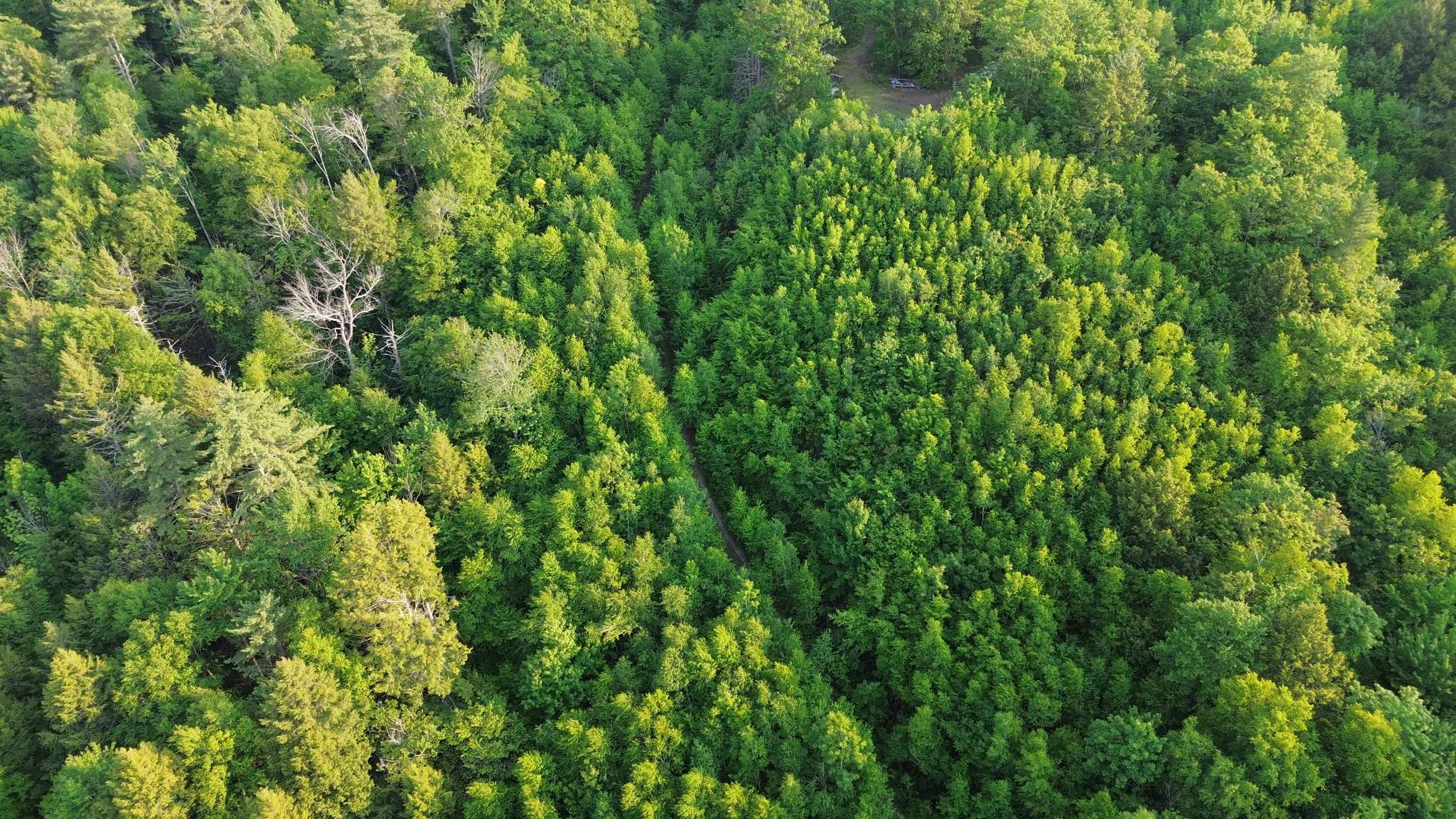 175 Valley Road New Durham, NH 03855 - Photo 14 of 18