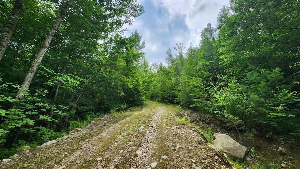 175 Valley Road New Durham, NH 03855 - Photo 16 of 18