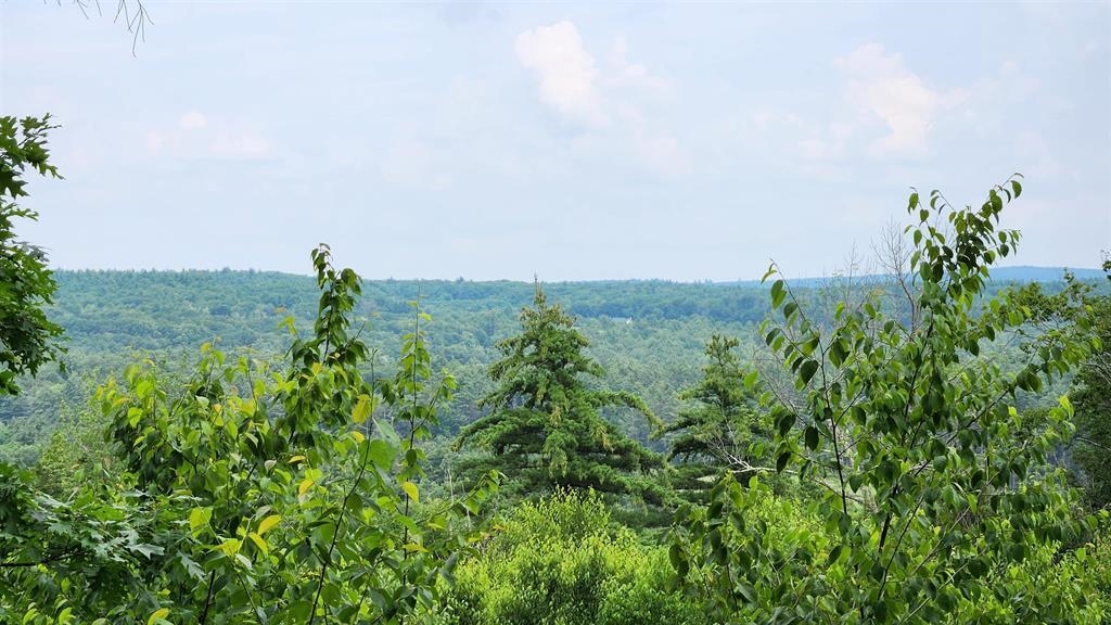 175 Valley Road New Durham, NH 03855 - Photo 2 of 18