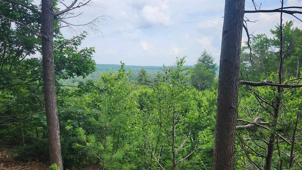 175 Valley Road New Durham, NH 03855 - Photo 5 of 18